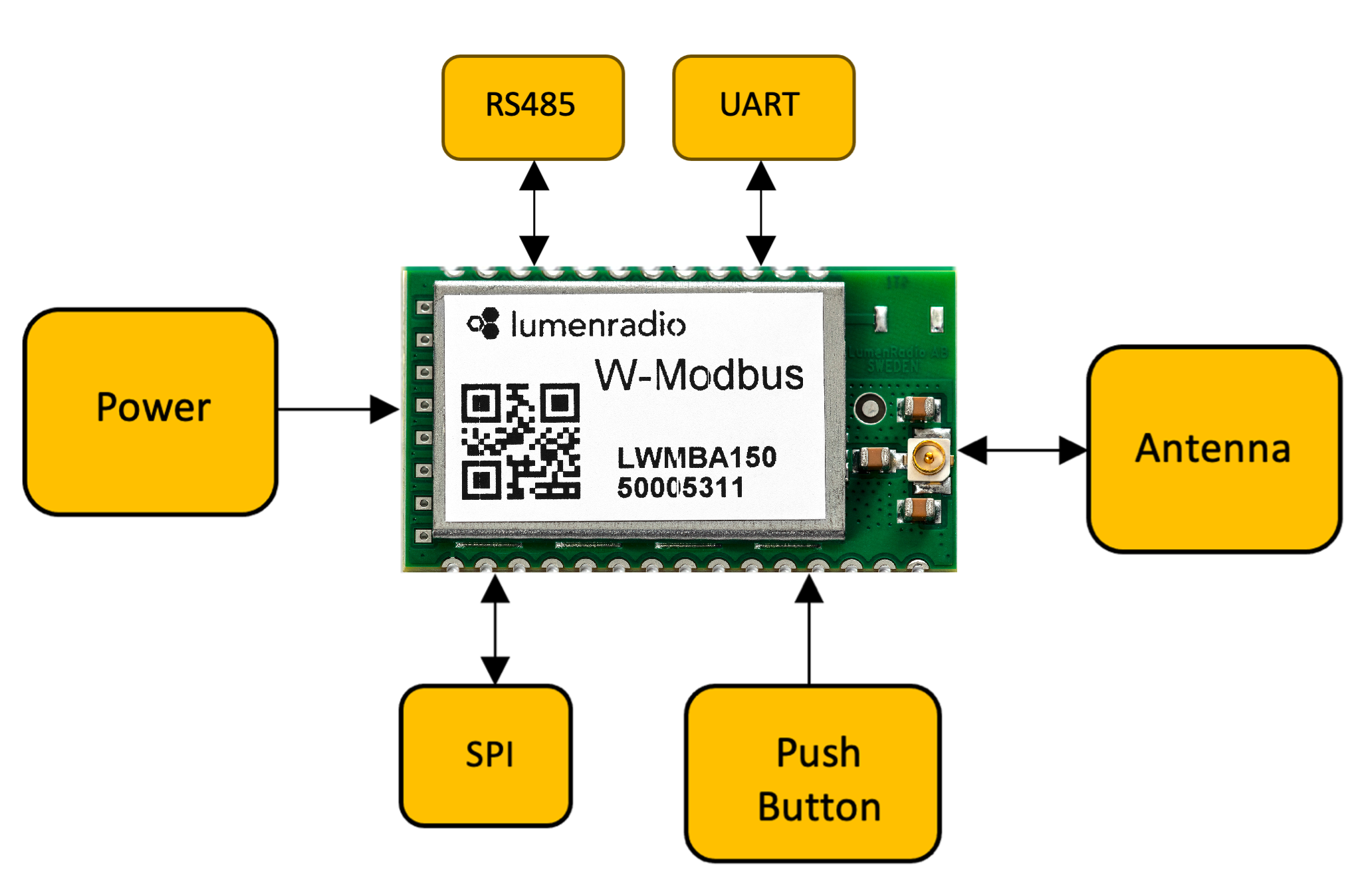 Module Overview